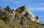 76 Dal sent. 118 vista sull'aguzza  cima del  Pizzo Badile